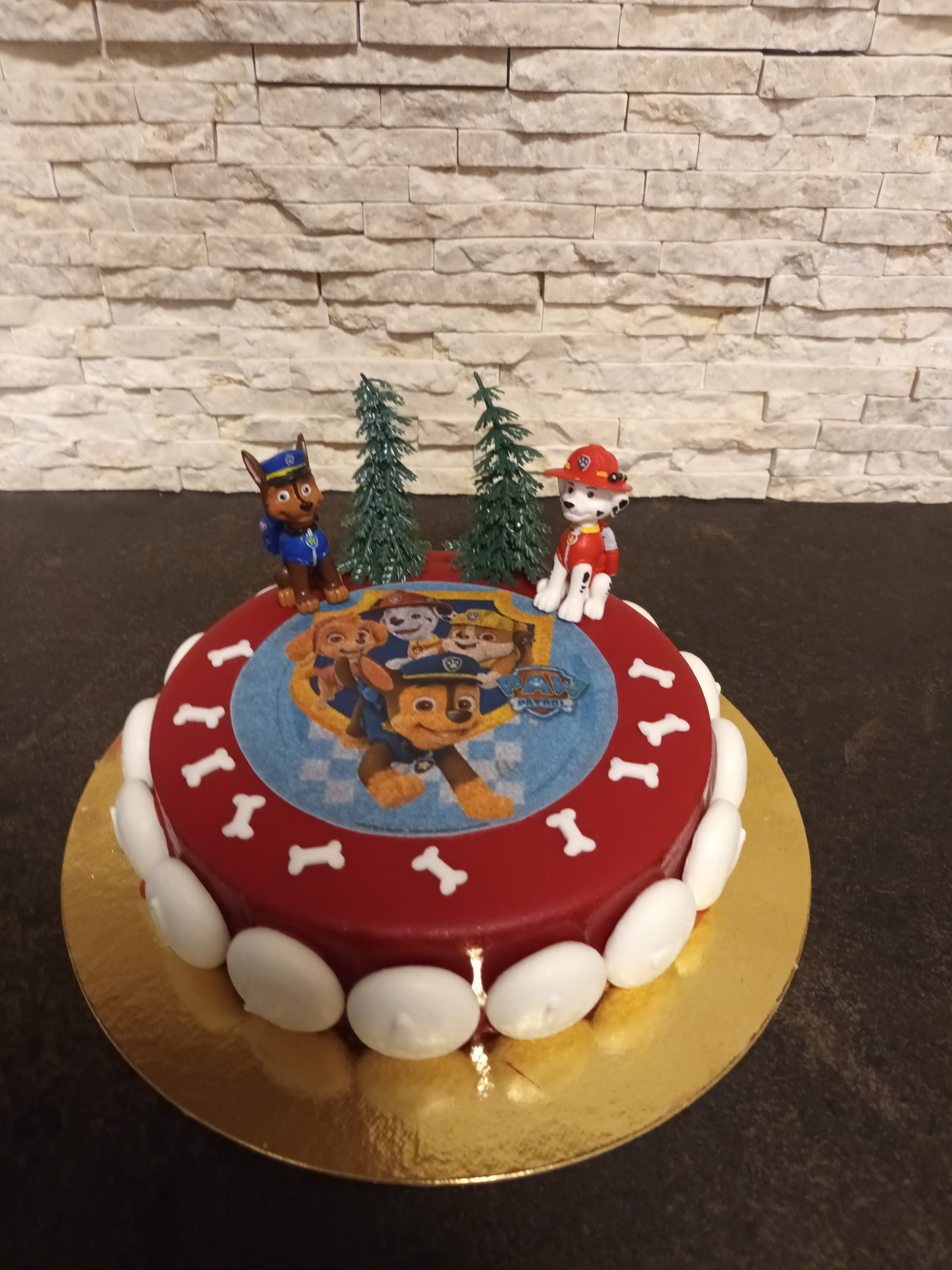 Paw patrol met foto